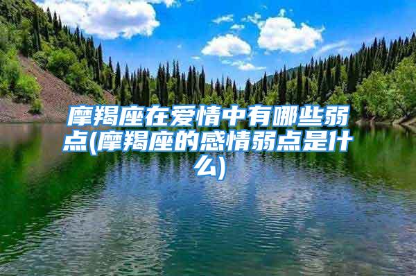 摩羯座在爱情中有哪些弱点(摩羯座的感情弱点是什么)