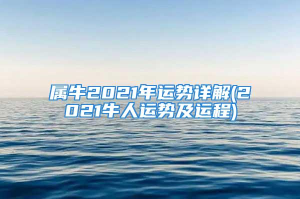 属牛2021年运势详解(2021牛人运势及运程)