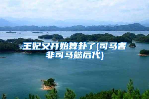 王妃又开始算卦了(司马睿非司马懿后代)