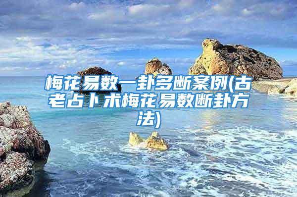 梅花易数一卦多断案例(古老占卜术梅花易数断卦方法)