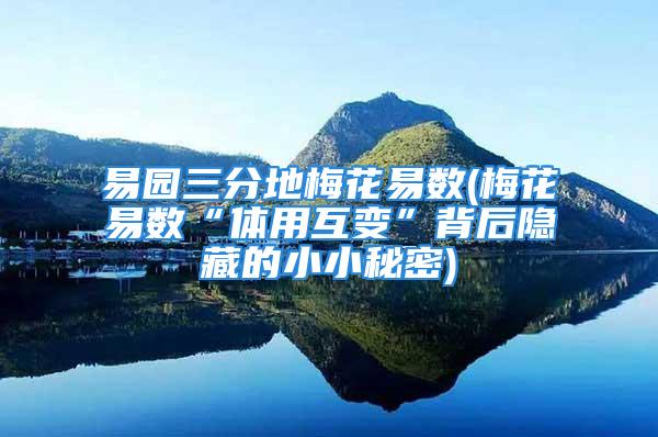 易园三分地梅花易数(梅花易数“体用互变”背后隐藏的小小秘密)