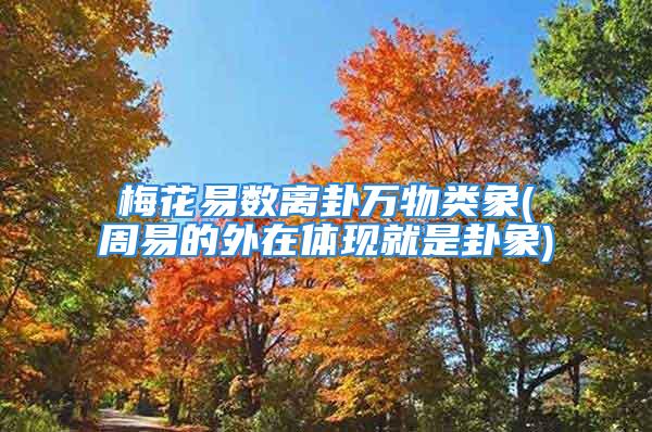 梅花易数离卦万物类象(周易的外在体现就是卦象)