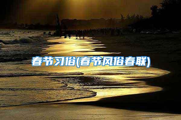 春节习俗(春节风俗春联)