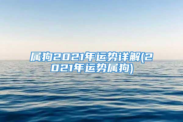 属狗2021年运势详解(2021年运势属狗)