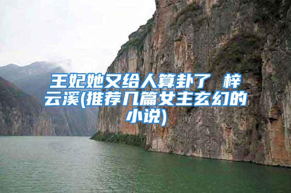 王妃她又给人算卦了 梓云溪(推荐几篇女主玄幻的小说)