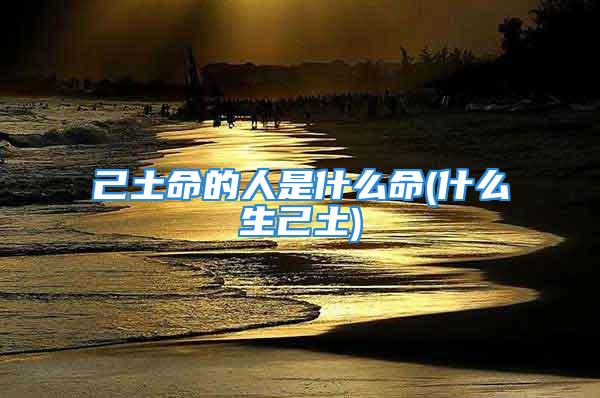 己土命的人是什么命(什么生己土)
