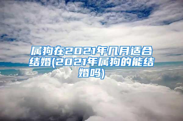 属狗在2021年几月适合结婚(2021年属狗的能结婚吗)