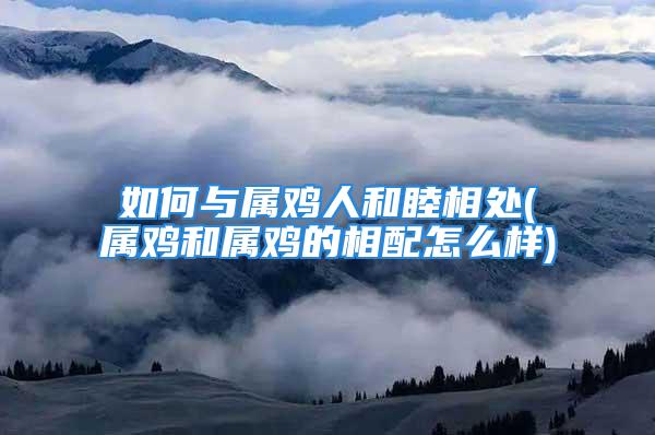 如何与属鸡人和睦相处(属鸡和属鸡的相配怎么样)
