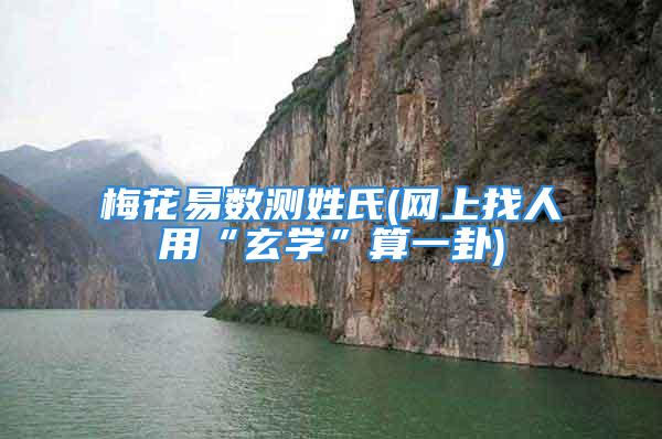 梅花易数测姓氏(网上找人用“玄学”算一卦)