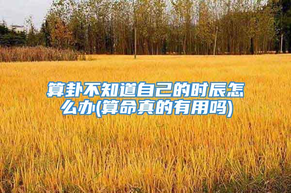 算卦不知道自己的时辰怎么办(算命真的有用吗)