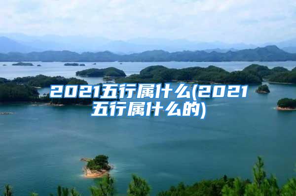 2021五行属什么(2021五行属什么的)