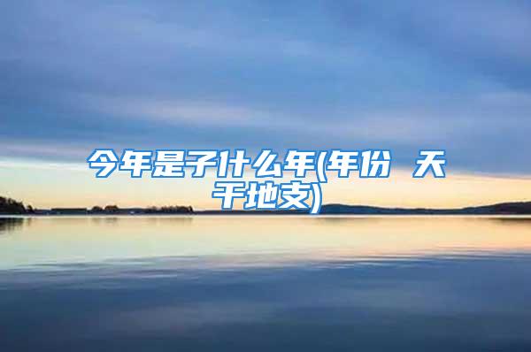 今年是子什么年(年份 天干地支)