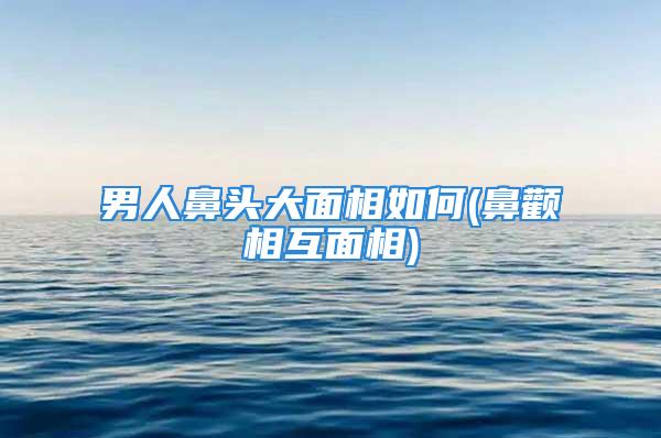 男人鼻头大面相如何(鼻颧相互面相)
