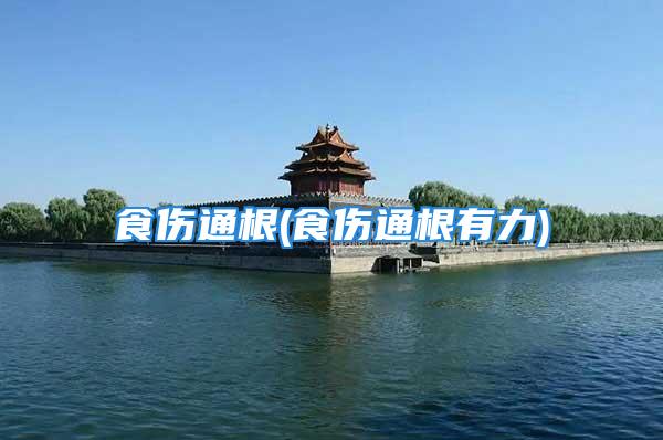 食伤通根(食伤通根有力)