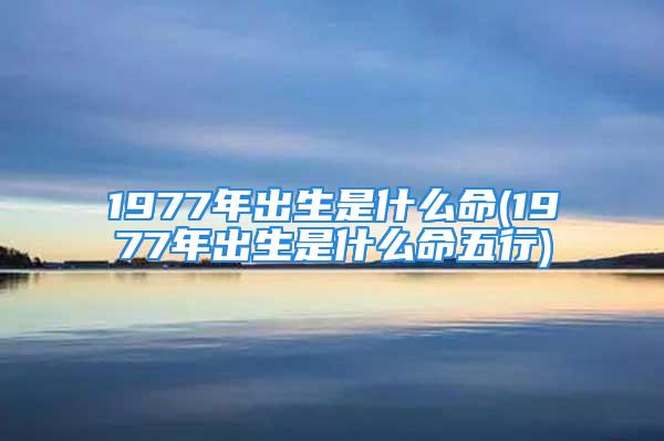 1977年出生是什么命(1977年出生是什么命五行)