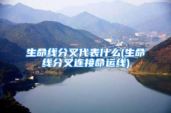 生命线分叉代表什么(生命线分叉连接命运线)