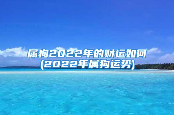 属狗2022年的财运如何(2022年属狗运势)