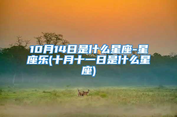 10月14日是什么星座-星座乐(十月十一日是什么星座)
