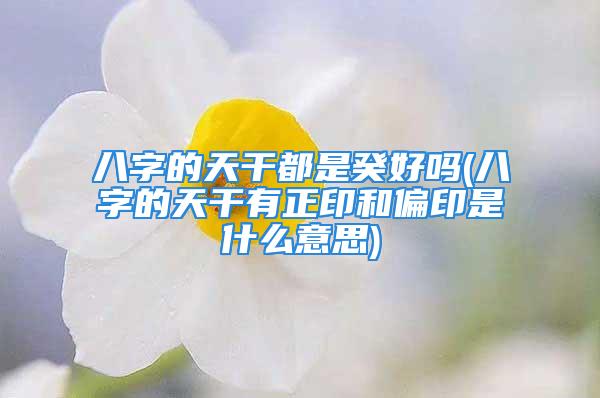 八字的天干都是癸好吗(八字的天干有正印和偏印是什么意思)