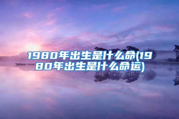 1980年出生是什么命(1980年出生是什么命运)