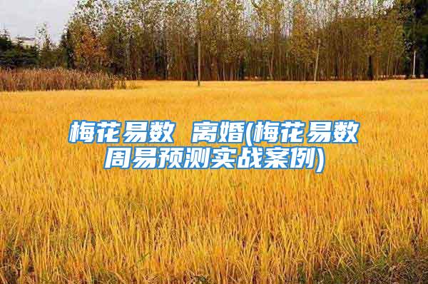 梅花易数 离婚(梅花易数周易预测实战案例)