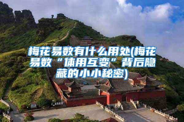 梅花易数有什么用处(梅花易数“体用互变”背后隐藏的小小秘密)