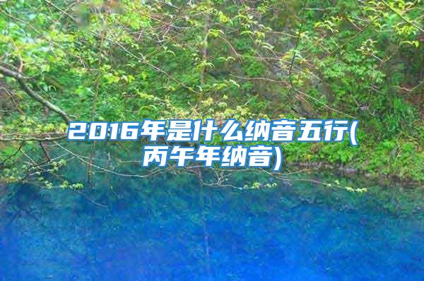 2016年是什么纳音五行(丙午年纳音)