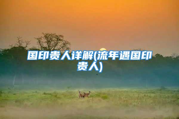 国印贵人详解(流年遇国印贵人)