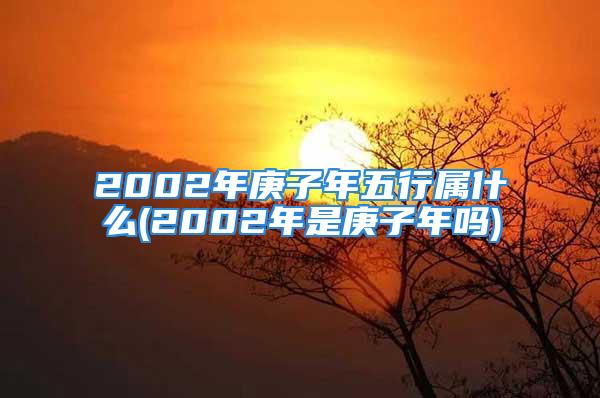 2002年庚子年五行属什么(2002年是庚子年吗)