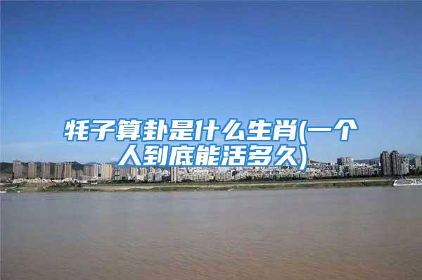 牦子算卦是什么生肖(一个人到底能活多久)
