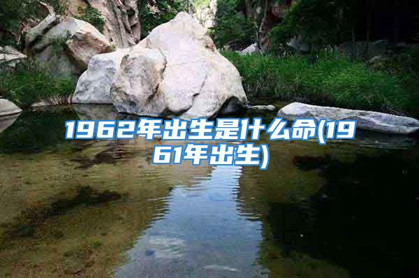 1962年出生是什么命(1961年出生)