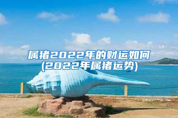 属猪2022年的财运如何(2022年属猪运势)