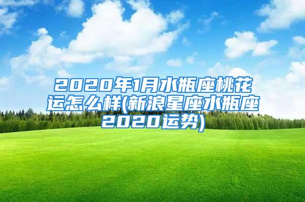 2020年1月水瓶座桃花运怎么样(新浪星座水瓶座2020运势)