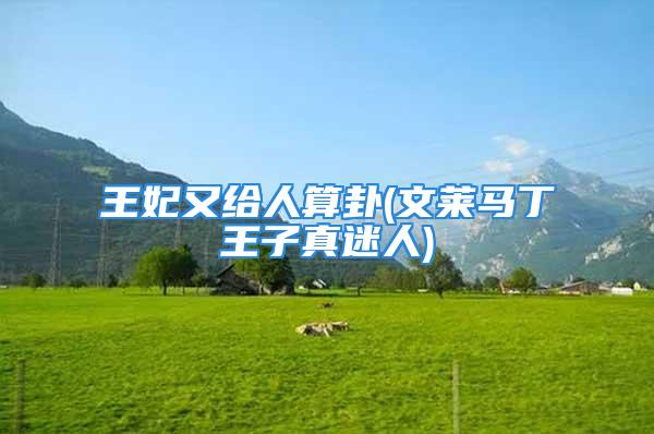 王妃又给人算卦(文莱马丁王子真迷人)