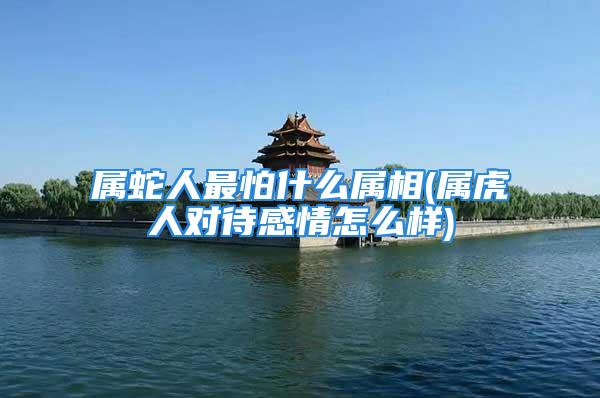 属蛇人最怕什么属相(属虎人对待感情怎么样)