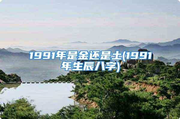 1991年是金还是土(1991年生辰八字)
