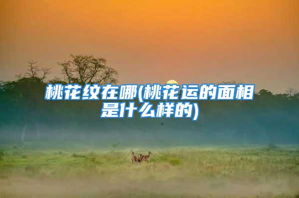 桃花纹在哪(桃花运的面相是什么样的)