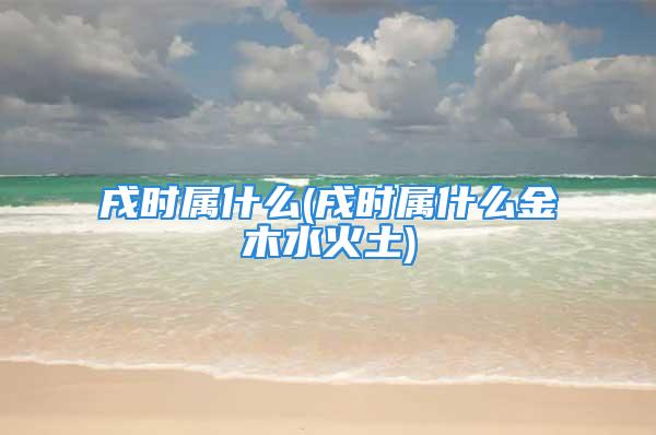 戌时属什么(戌时属什么金木水火土)