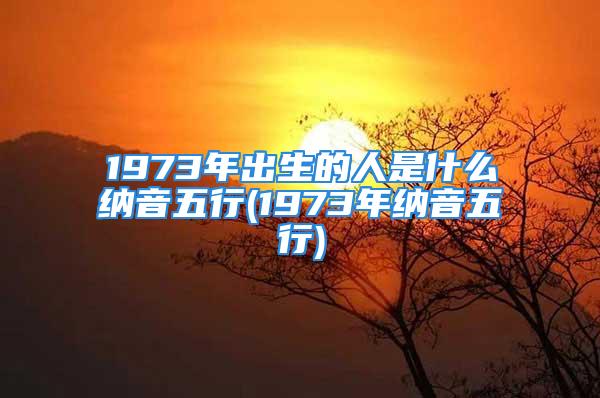 1973年出生的人是什么纳音五行(1973年纳音五行)