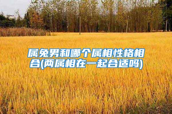 属兔男和哪个属相性格相合(两属相在一起合适吗)