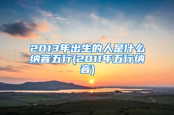 2013年出生的人是什么纳音五行(2011年五行纳音)