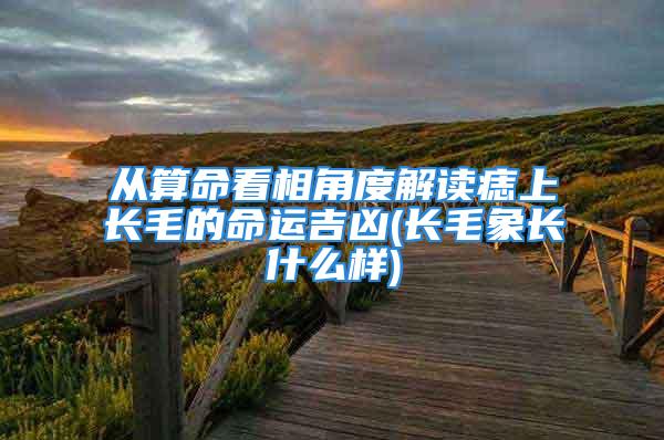 从算命看相角度解读痣上长毛的命运吉凶(长毛象长什么样)