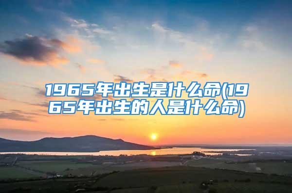 1965年出生是什么命(1965年出生的人是什么命)