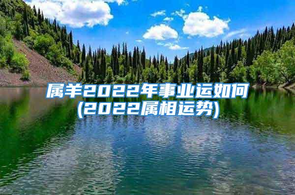 属羊2022年事业运如何(2022属相运势)