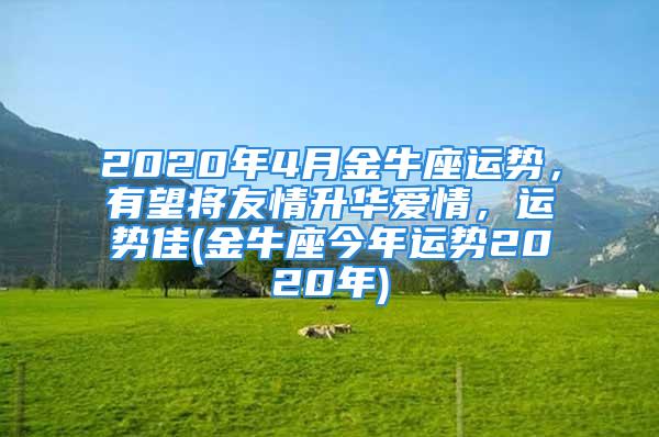 2020年4月金牛座运势，有望将友情升华爱情，运势佳(金牛座今年运势2020年)