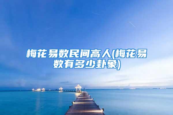 梅花易数民间高人(梅花易数有多少卦象)