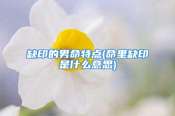 缺印的男命特点(命里缺印是什么意思)