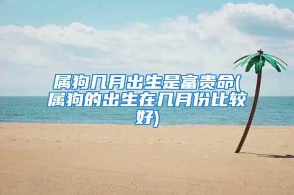 属狗几月出生是富贵命(属狗的出生在几月份比较好)