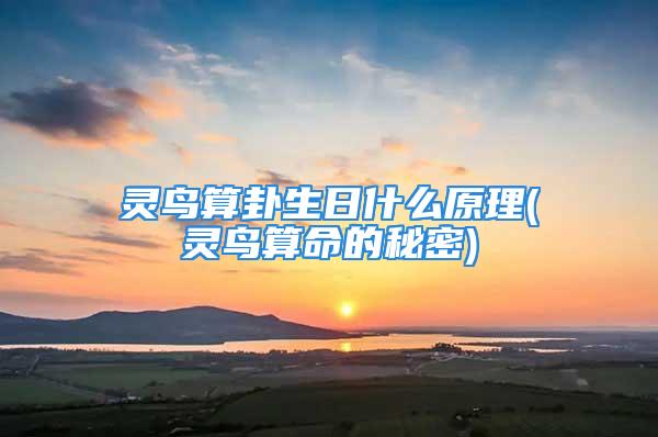 灵鸟算卦生日什么原理(灵鸟算命的秘密)