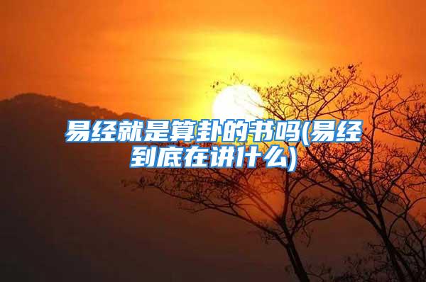 易经就是算卦的书吗(易经到底在讲什么)